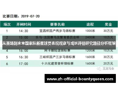 从赛场到未来国家队新星球员表现观察与成长评估研究路径分析框架 从赛场到未来国家队新星球员表现观察与成长评估研究路径分析框架