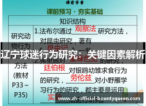 辽宁球迷行为研究：关键因素解析